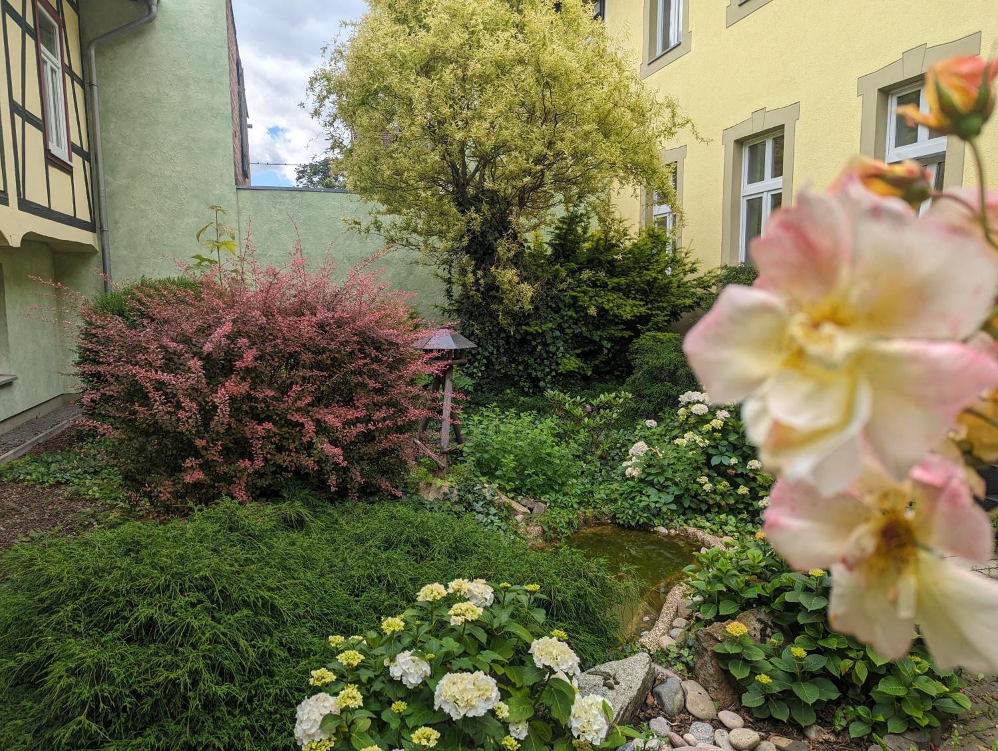 Ferienwohnungen An Der Bimmelbahn 韦尼格罗德 外观 照片